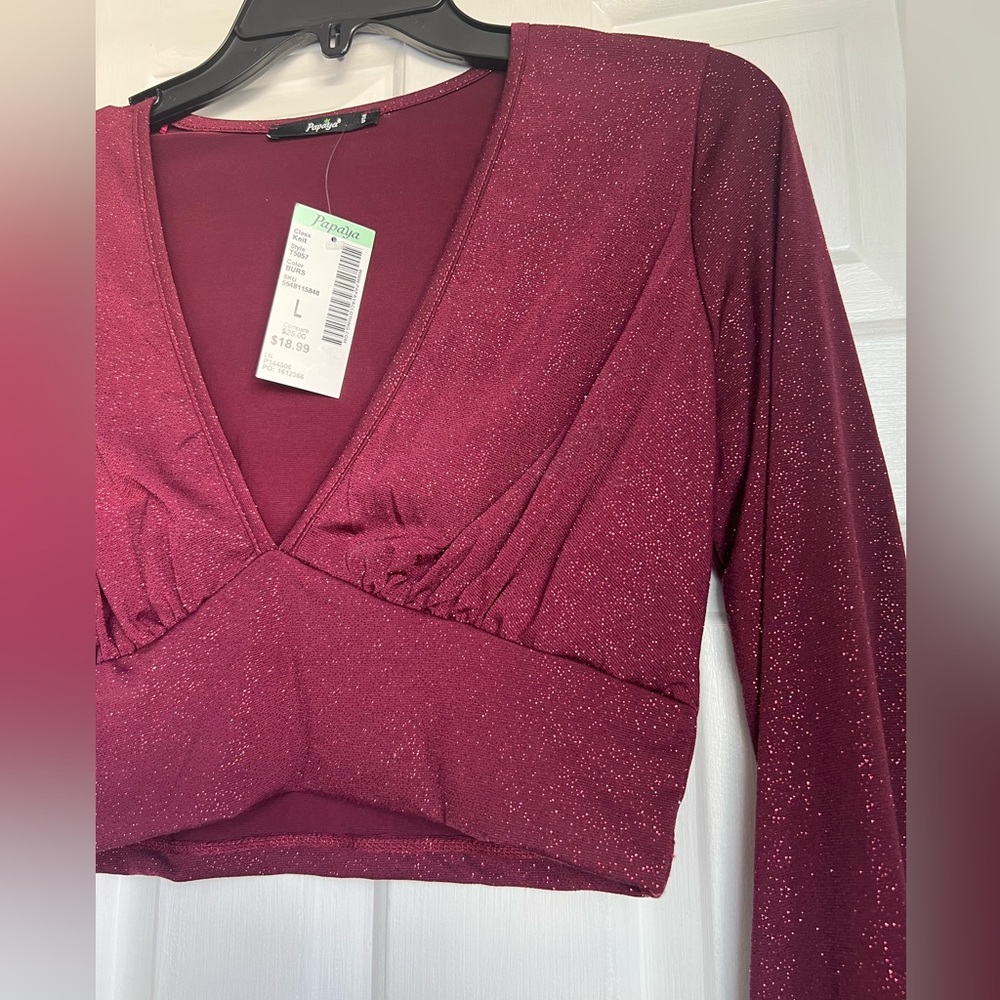 Burgundy Sparkly Crop Top